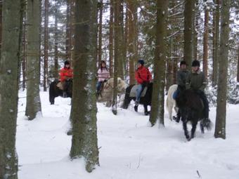 Bed & Breakfast H�llstad Kronog�rd