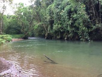 Hostal Down The River Hostel