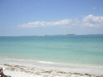 Sea Shells Of Sanibel