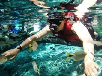 Posada Pousada Mangueiras E Ag�ncia De Turismo