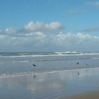 Apartamento Residencial Emerencio