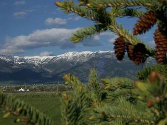 Fox Hollow Bed & Breakfast