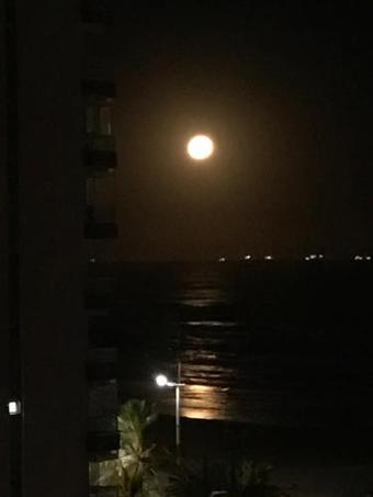 Apartamento Ilhas Do Mel/praia Grande Cai�ara S�o Paulo