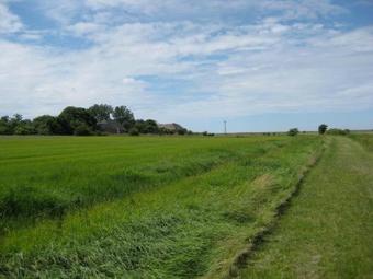 Apartamento I Hjertet Af Ballum