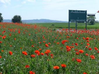 Bakkelund Bed & Breakfast