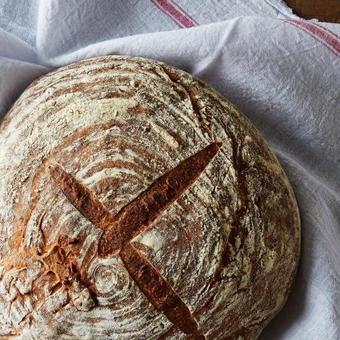 Bed & Breakfast Alsbrogaard