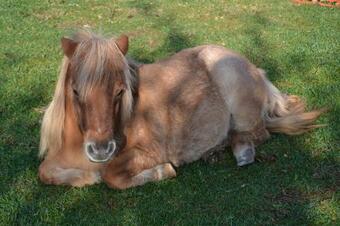 Agroturismo La Piana Dell'erika