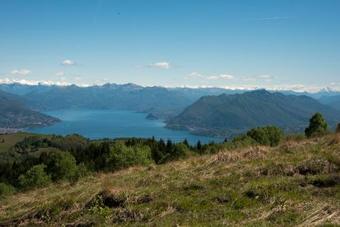 Music Smile Apartment