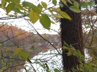 Milford Motel On The River