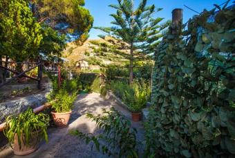 Hostal Venere B&B Castelmola