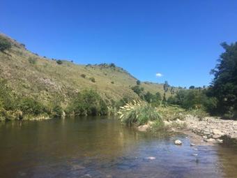 Lodge Enkel Caba�as