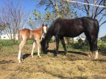 Casa De Campo Con Piscina