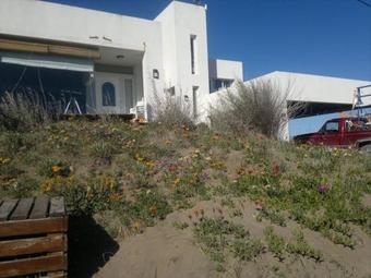 Apartamento Complejo Del Este