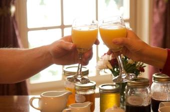 Bed & Breakfast Willow Trace B & B