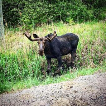 Hotel Madawaska Lodge