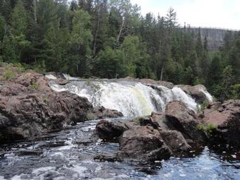 Hotel Limberlost Lodge