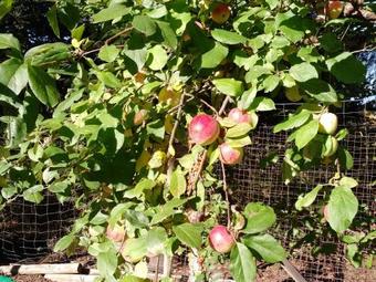 Apartamento Alopluvia Accommodation