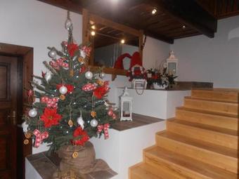 Hostal Penzion Koliba