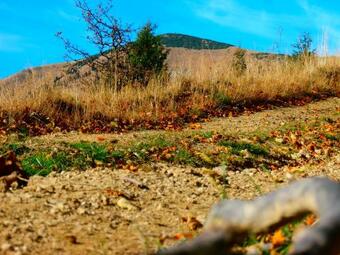 Hostal ?ierny Kame? - Penzi�n A Re?taur�cia