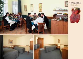 Hostal Penzion Na Poto?nej