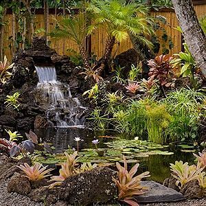 Apartamentos Hanalei Colony Resort