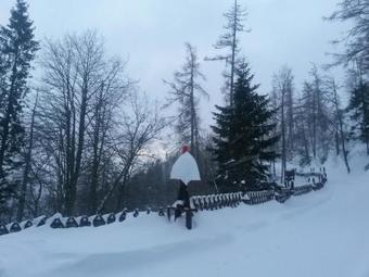 Mountain Hotel Bil�kova Chata