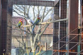 Holiday Home V Kolte