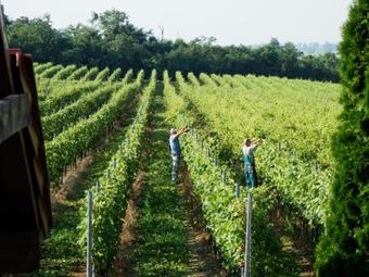 Hostal Penzi�n V�nny Dom