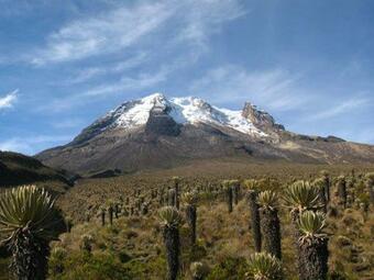 Bed & Breakfast Hostal Wuandra