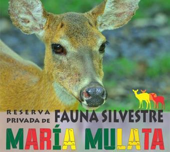 Lodge Reserva Privada De Fauna Silvestre Maria Mulata