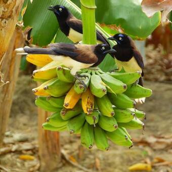 Hotel Cerro De Zumba
