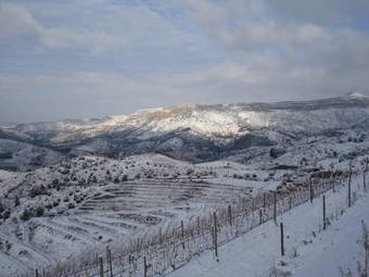 Hotel-celler Buil & Gine