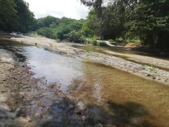 Apartamento Caba�as Ecotur�sticas Mi Terru�o Tayrona