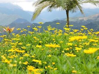 Hotel Reserva Monarca