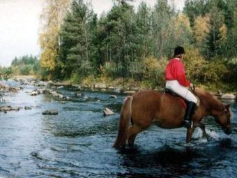 Holiday Home Niemenk�rki