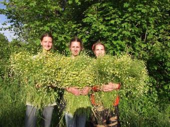 Agroturismo Chudesnye Holmy