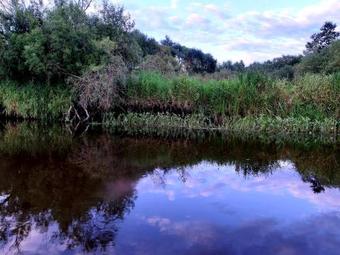 Agroturismo Usadba Beregovaya