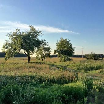 Posada Kvetky Yablyni