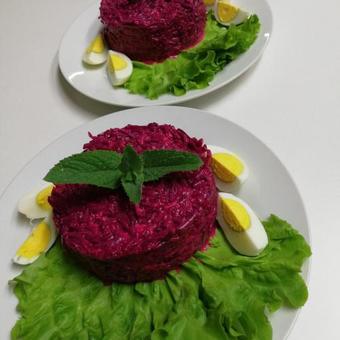 Hotel Holiday Park Vishnya