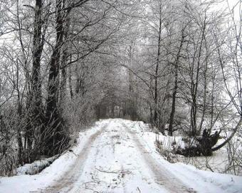 Agrousadba Prostosashino