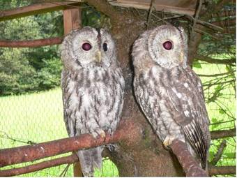 Posada G�stehaus Schmuckenhof