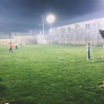 Nine House - Dodo's Garden