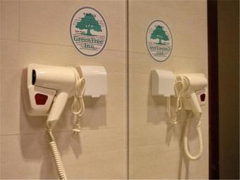 Greentree Inn Hebei Qinhuangdao Changli County Minsheng Road Walking Street Express Hotel