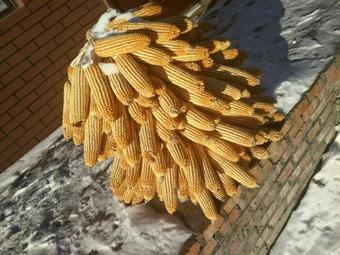 Agroturismo Wusong Island Wusong Country House