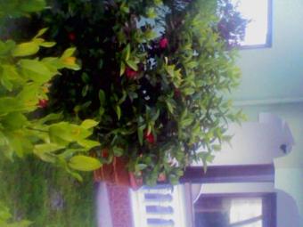 Hostal Maison Belle Baie