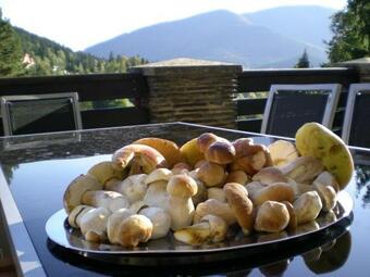 Hotel Ondras Z Beskyd