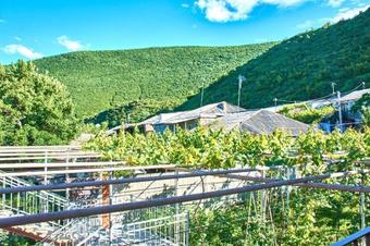 Hostal Nukri Guest House