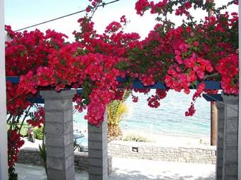 Apartamento Theoxenia Studios