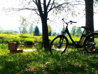 Hostal Litzlberger Keller