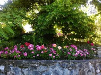 Agroturismo Il Pezzatino